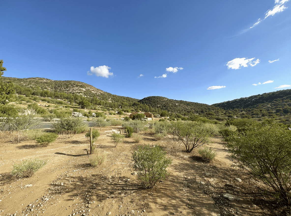 envato-labs-image-edit-3